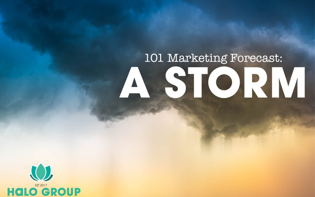 101 Marketing Forecast: a Storm!